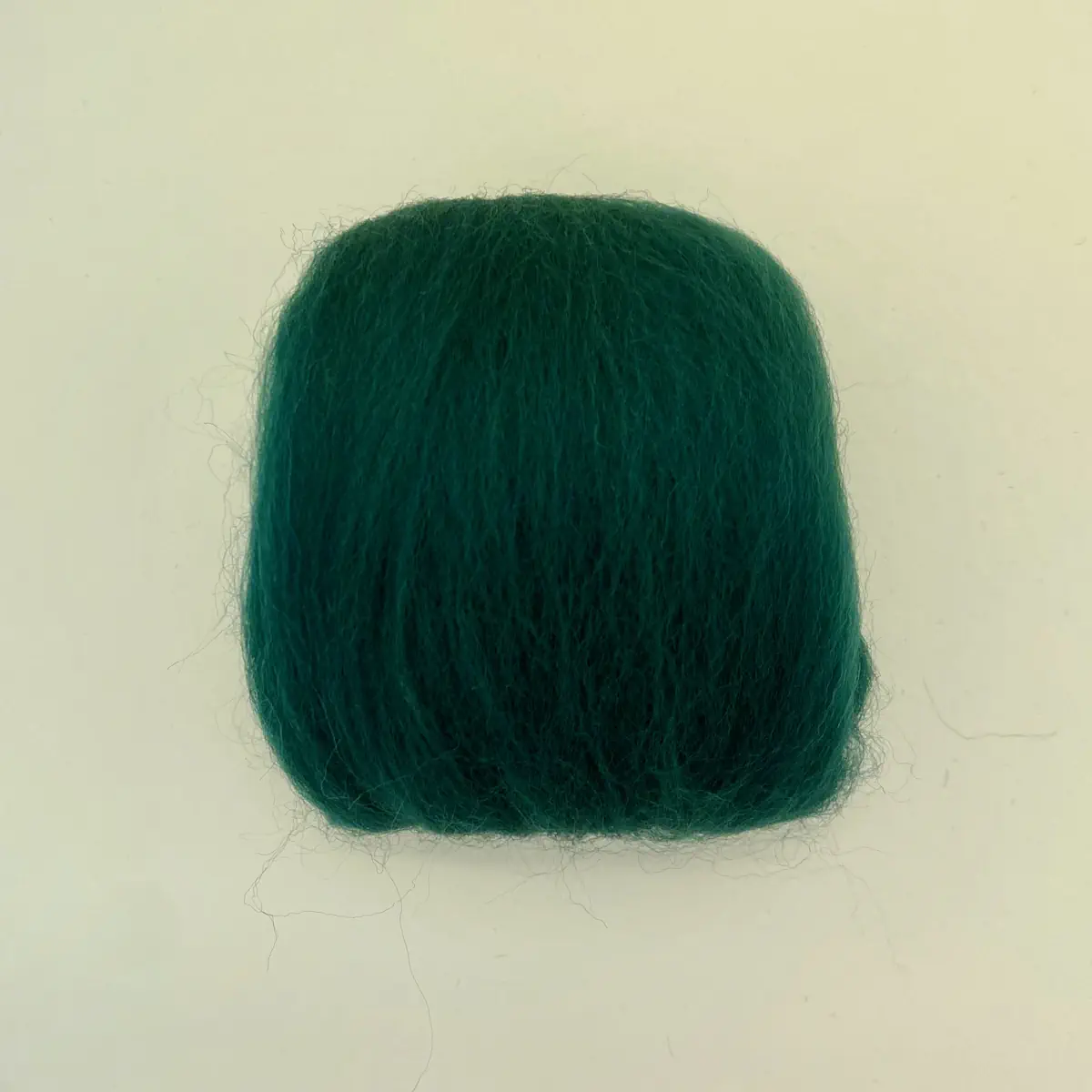 Conifer