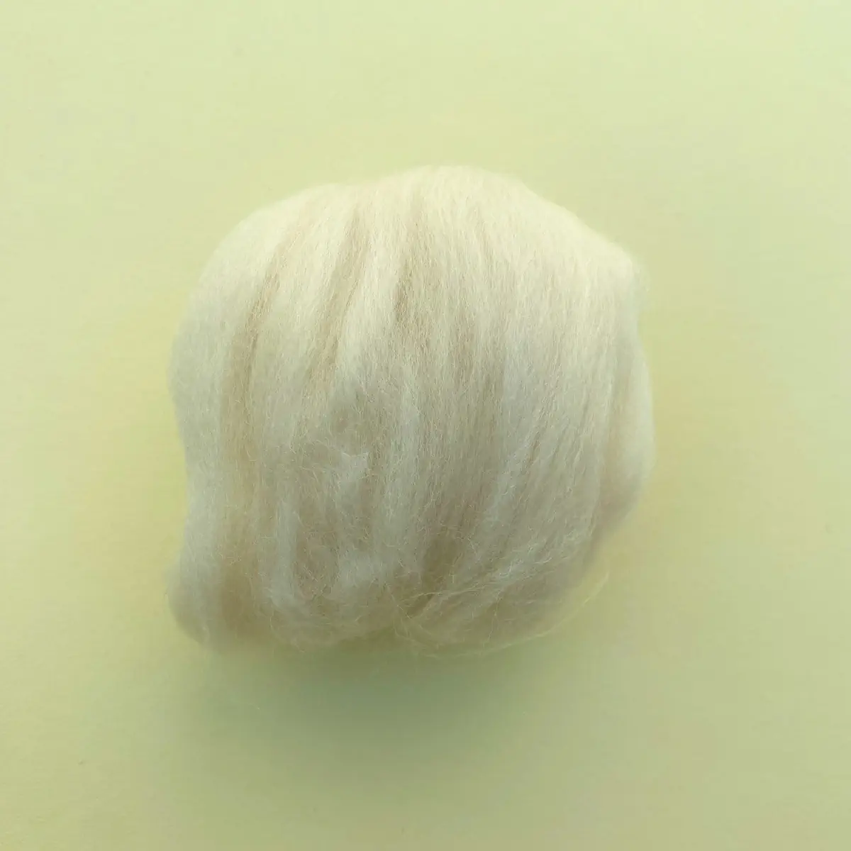Oyster
